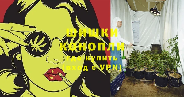 каннабис Покачи