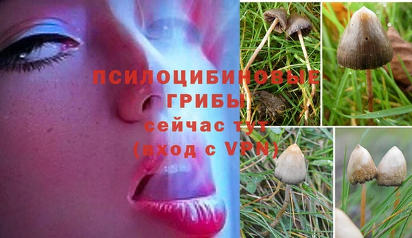 мяу мяу мука Покров