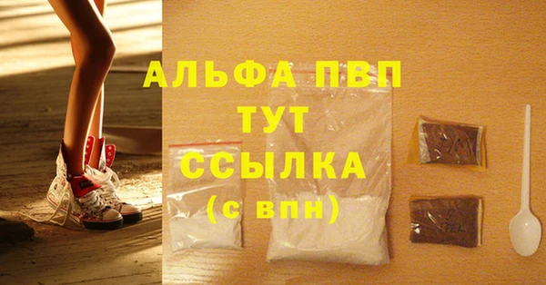 гашик Абаза